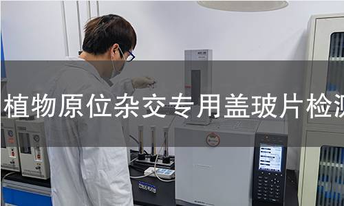 植物原位杂交专用盖玻片检测