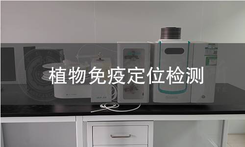 植物免疫定位检测
