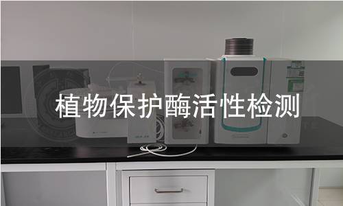 植物保护酶活性检测