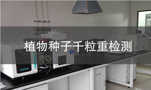 植物种子千粒重检测