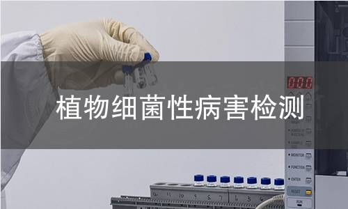 植物细菌性病害检测