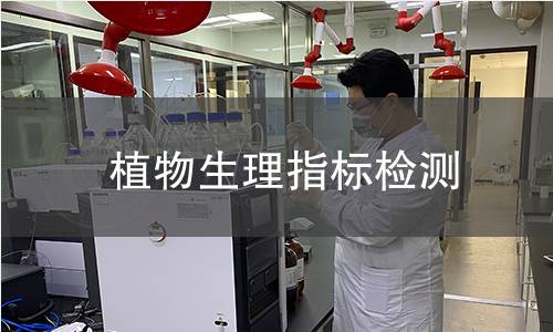 植物生理指标检测