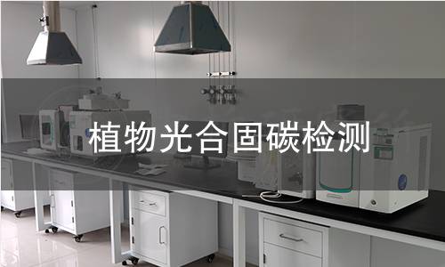 植物光合固碳检测