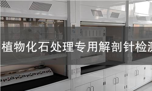 植物化石处理专用解剖针检测