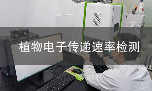 植物电子传递速率检测