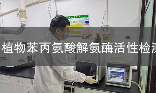 植物苯丙氨酸解氨酶活性检测