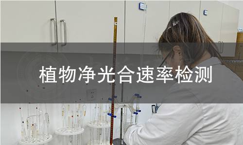 植物净光合速率检测
