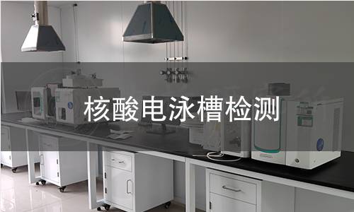 核酸电泳槽检测