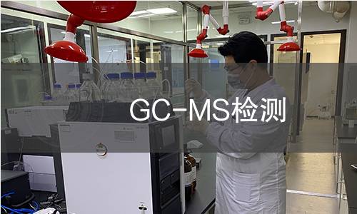 GC-MS检测