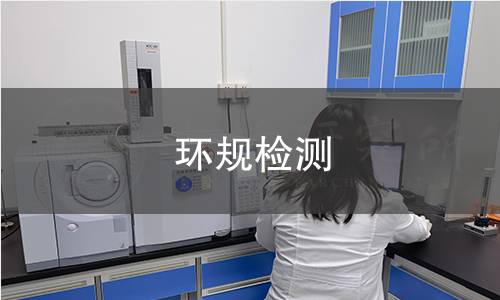 环规检测