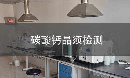 碳酸钙晶须检测