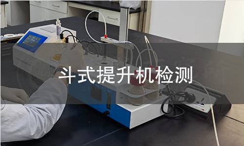 斗式提升机检测