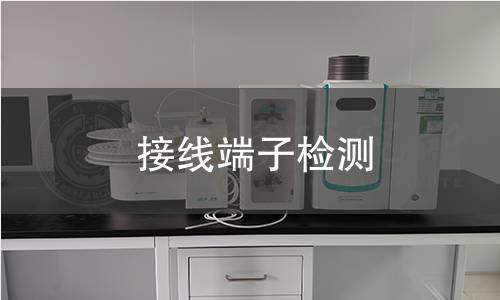 接线端子检测