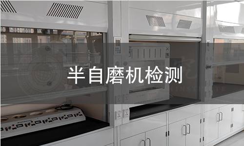 半自磨机检测