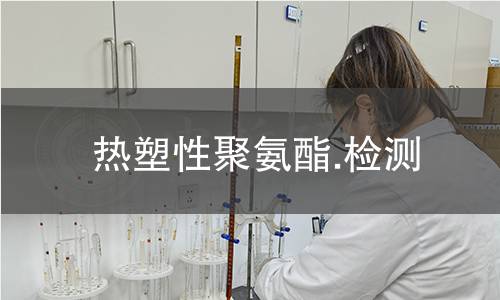 热塑性聚氨酯.检测