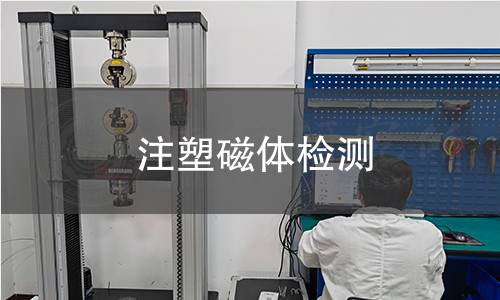 注塑磁体检测
