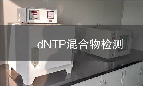 dNTP混合物检测