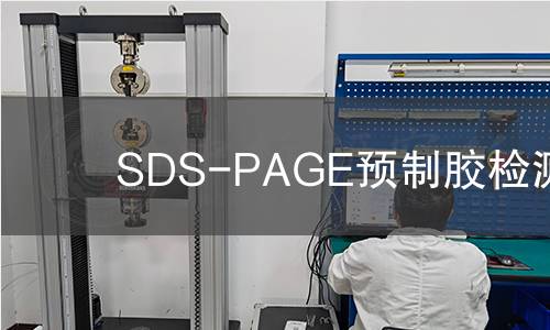 SDS-PAGE预制胶检测