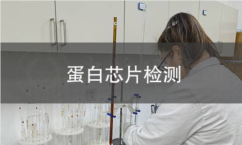 蛋白芯片检测