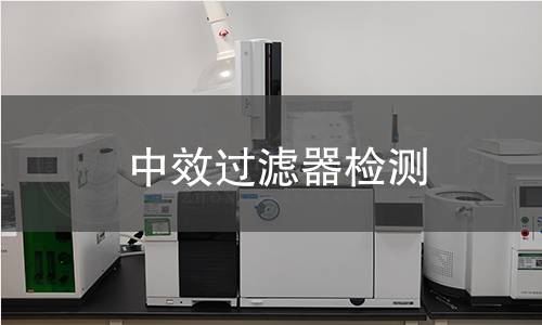 中效过滤器检测