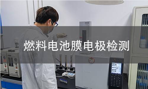 燃料电池膜电极检测