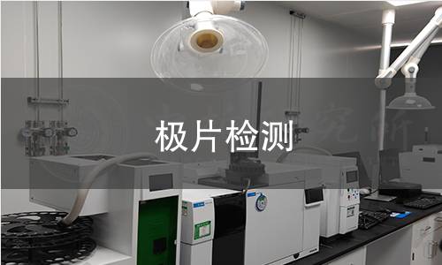 极片检测