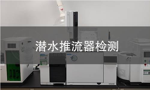 潜水推流器检测