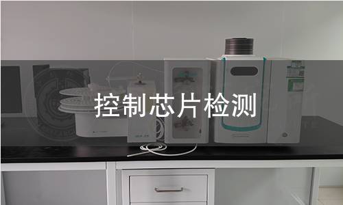 控制芯片检测